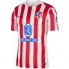 Camiseta Atlético de Madrid 25/26 1ª equipación