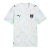 Camiseta Austria 2026 2ª equipación