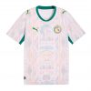 Camiseta Senegal 2026 1ª equipación