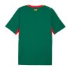Camiseta Senegal 2026 2ª equipación