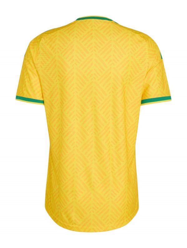 Camiseta Sudáfrica 2026 1ª equipación